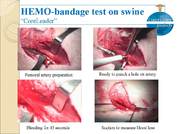 HEMO-bandage:test on pig